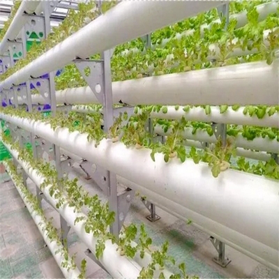 Standarddicke runde PVC-Rohre Hydroponisches NFT-System für den Gartenanbau