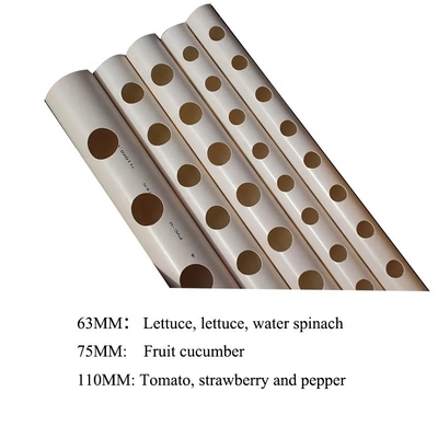 1/2&quot;-12&quot; Durchmesser Weiße Farbe 90mm 110mm PVC-Rohr für Hydroponik Salatpflanze